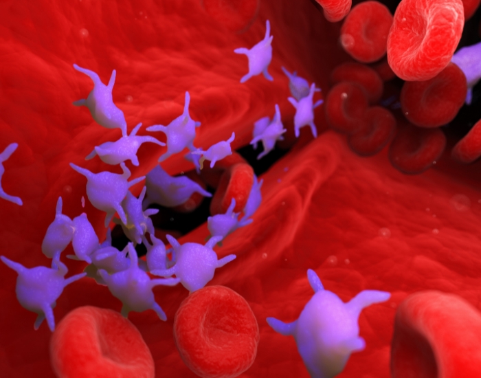 can low platelets mean cancer
